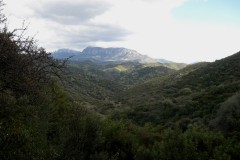 Fonte-sacra-Su-Tempiesu-pozzo-sacro-Orune-Nuoro-6