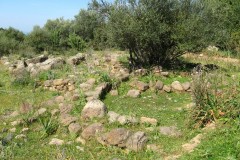 Insediamento-e-pozzo-sacro-nuragico-di-Tattinu-Nuxis-6-cosa-vedere-in-Sardegna